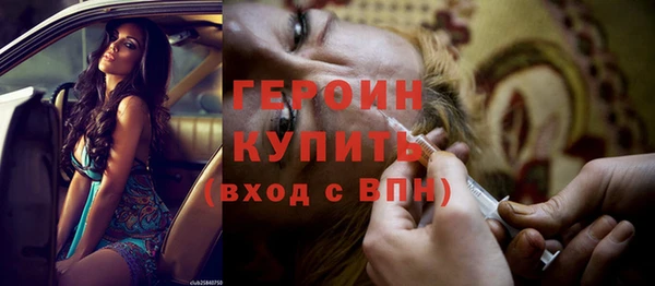 сатива Вяземский