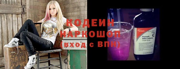 сатива Вяземский