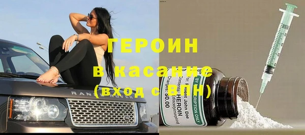 сатива Вяземский