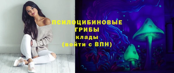 сатива Вяземский
