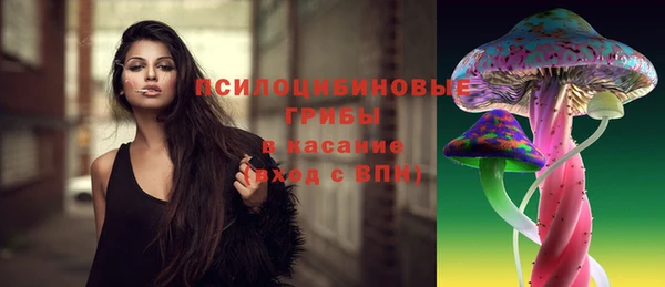 сатива Вяземский