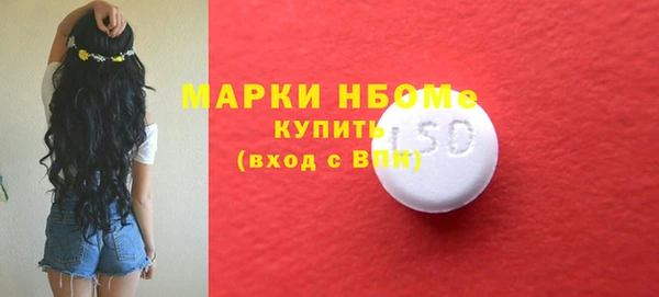 сатива Вяземский