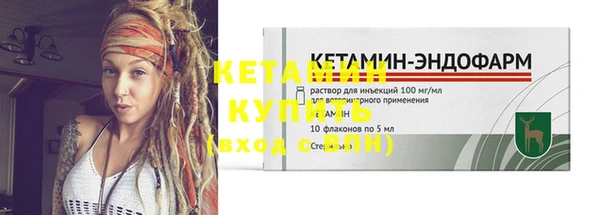 сатива Вяземский