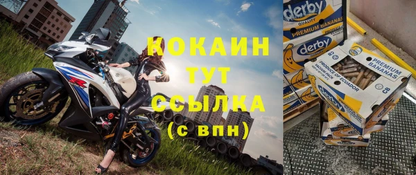 ПСИЛОЦИБИНОВЫЕ ГРИБЫ Вязьма