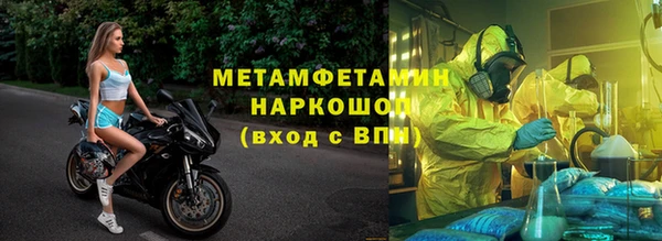 сатива Вяземский