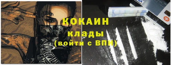 ПСИЛОЦИБИНОВЫЕ ГРИБЫ Вязьма