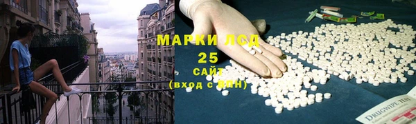 ПСИЛОЦИБИНОВЫЕ ГРИБЫ Вязьма