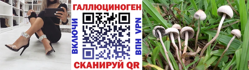 МЕГА ССЫЛКА  закладки  Гусиноозёрск  Галлюциногенные грибы MAGIC MUSHROOMS 